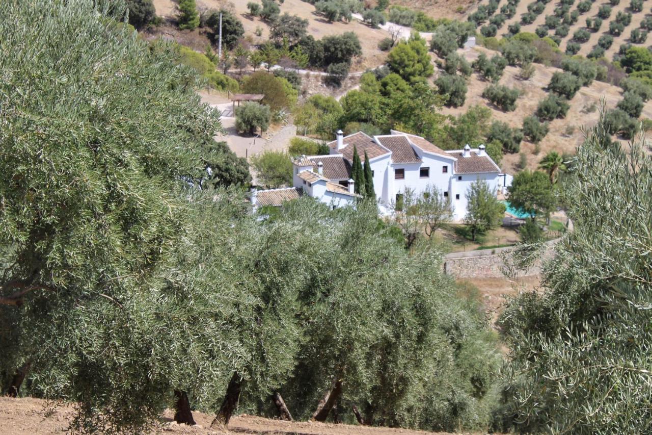 Cortijo La Fe Guest House Монтефрио Екстериор снимка