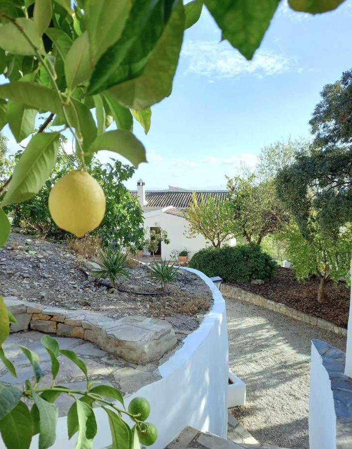 Cortijo La Fe Guest House Монтефрио Екстериор снимка