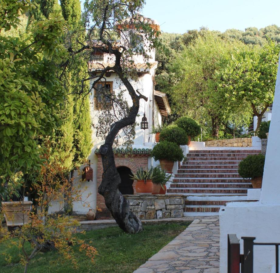 Cortijo La Fe Guest House Монтефрио Екстериор снимка